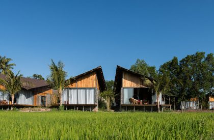 The “Ruộng” | H2 Architecture & Interior