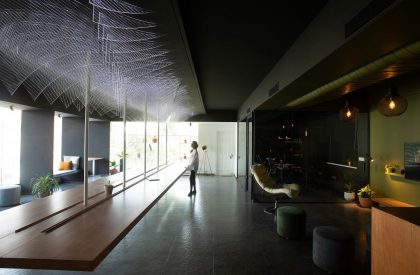 Lines and Motion | MYVN Architecture