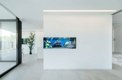 Aquarium House | Ruben Muedra Estudio De Arquitectura
