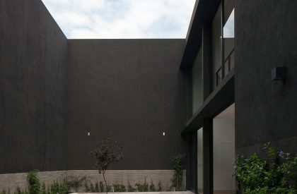 Reforma | Perez Palacios Arquitectos Asociados