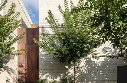 Green House Green | Anderman Architects
