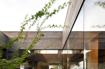 Cork Oak House | Hugo Pereira Arquitetos