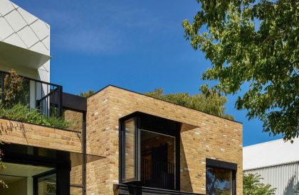 Garden House | Austin Maynard Architects