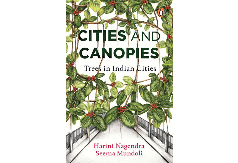 Cities and Canopies: Tress in Indian Cities