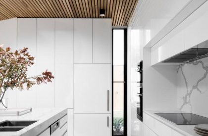 Courtyard House | FIGR Architecture Studio