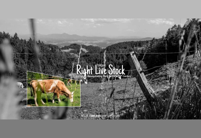 Right-Live-Stock | Winner Announced