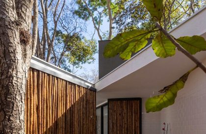 Soil House | Tetro Arquitetura