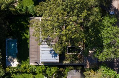 House among trees | Berson Arquitectura