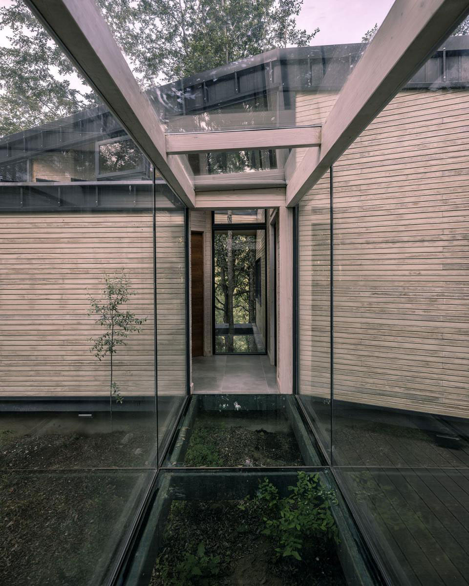 Forest House | Triangular