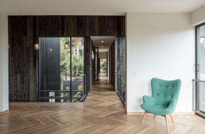 Zupe house | Ivan Bravo Architects