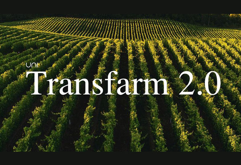 Transfarm 2.0 – Challenge to design a farming experience in cities