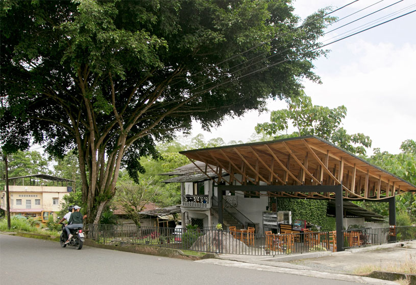 Ficus Alto- Outdoor Art Platform | Natura Futura Arquitectura