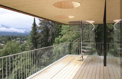 Above the Trees | Lechner & Lechner Architects