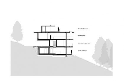 Above the Trees | Lechner & Lechner Architects