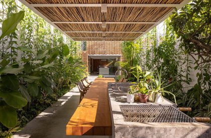 Tropical Shed | Laurent Troost Architectures