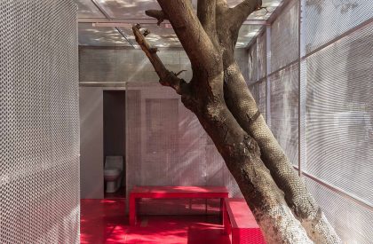 The Light box - Restroom for Women | RC Architects