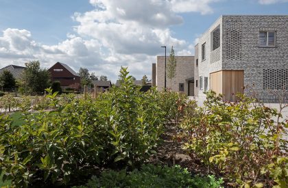 Social Housing in Dessel | Studio Farris Architects