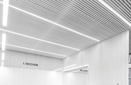 Salon L’OCCOCO | Cotaparedes Arquitectos
