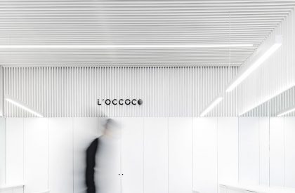 Salon L’OCCOCO | Cotaparedes Arquitectos