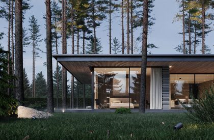In harmony with nature: a house for two in Repino | Kerimov Architects