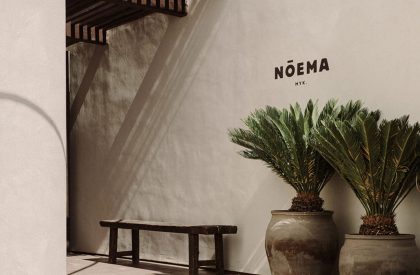 Noema | K-Studio + Lambs and Lions