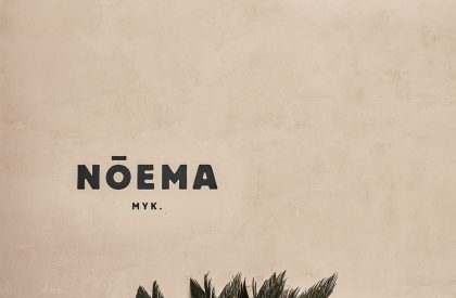 Noema | K-Studio + Lambs and Lions