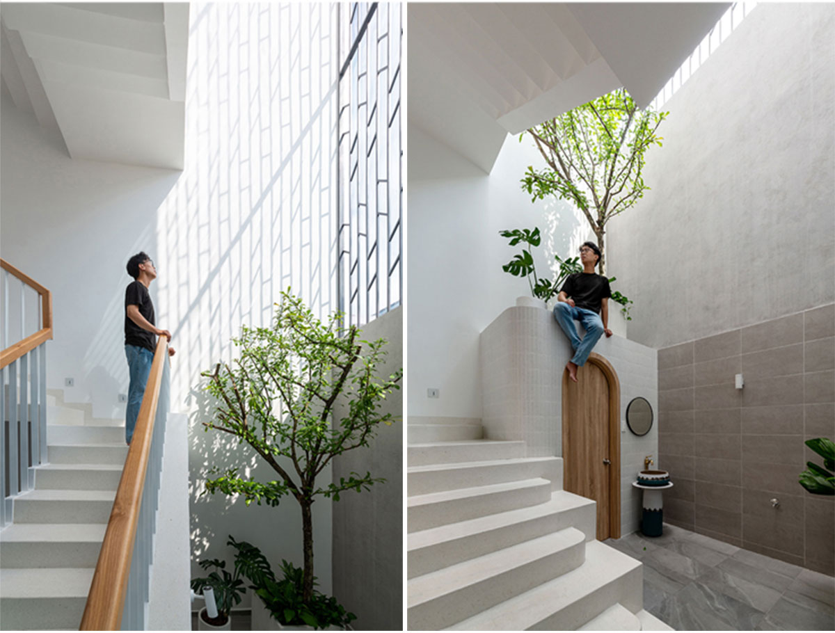 Green House | Story Architecture