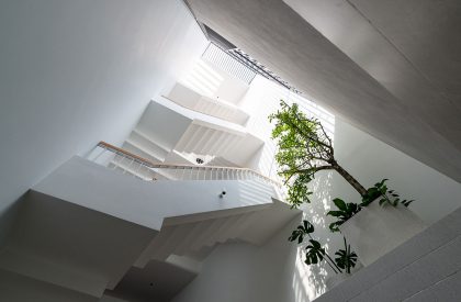 Green House | Story Architecture