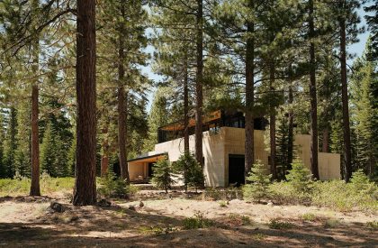 Forest House | Faulkner Architects