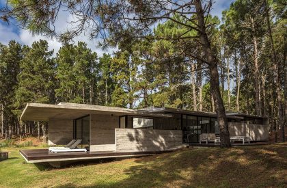 Forest House | Besonias Almeida arquitectos