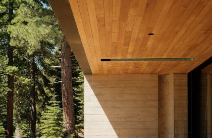 Forest House | Faulkner Architects