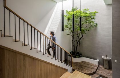 Tú House | Story Architecture