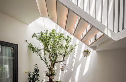 Tú House | Story Architecture